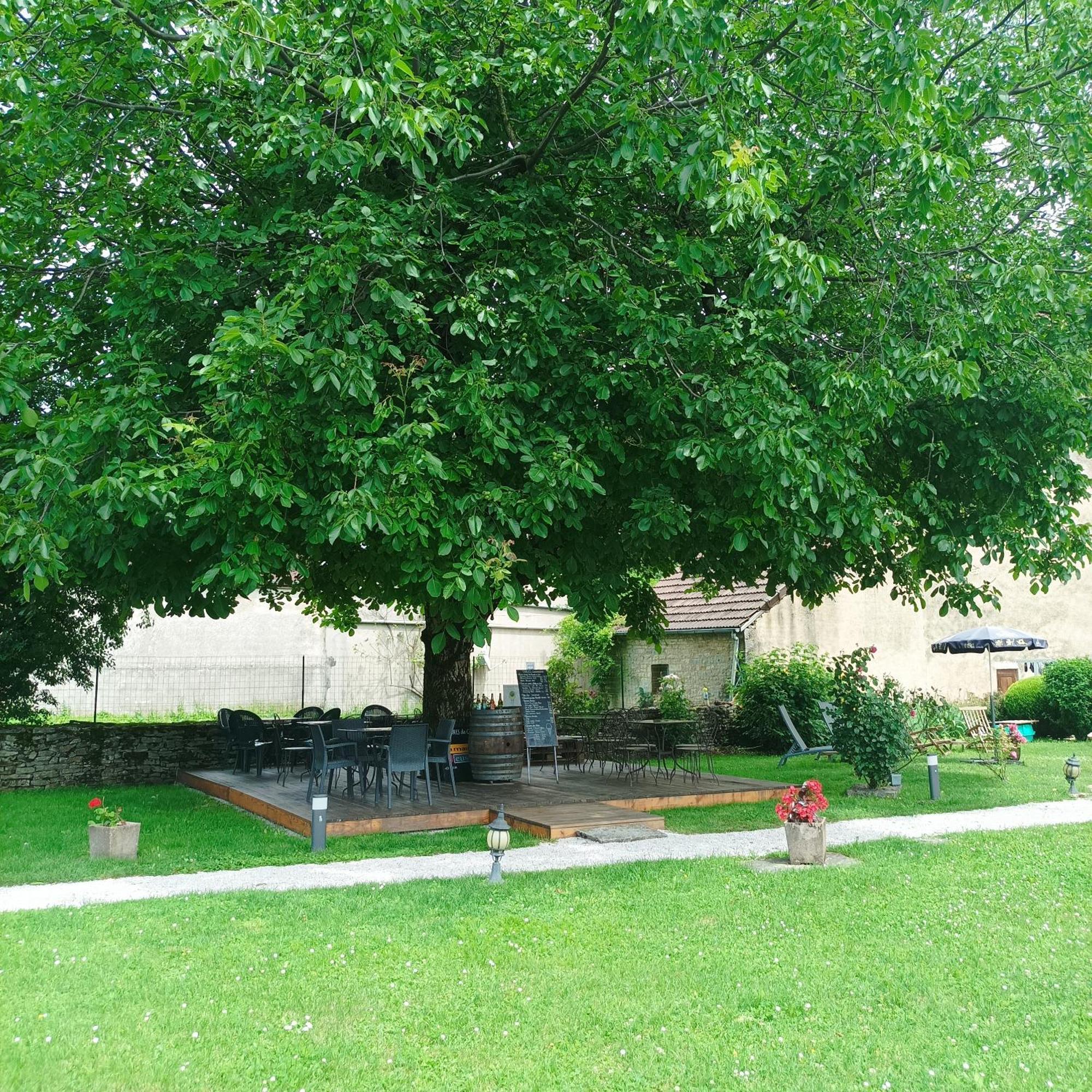 Maison D'Eusebia Chateau-Chalon Ngoại thất bức ảnh